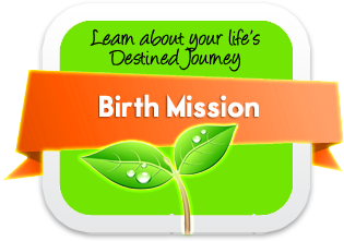In Depth Numerology Birth Mission report. Learn about your Life's Destined Journey